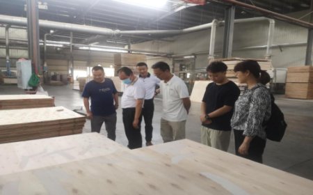 商 會 簡 訊.2023年第20期調研綠色建材企業234