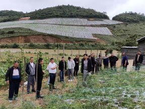 ��ƽ�̕���Ϣ31������ҕ�� ץ�䌍�������l��a�I���d��458