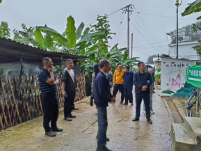 新平商會信息31(“強視察 抓落實”助力鄉村產業振興)459