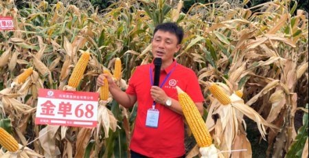 7月 元江“萬企興萬村”擦亮種業“芯”片1253