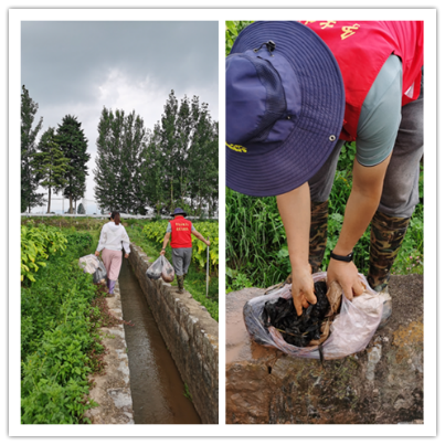 第44期 開展“高原湖泊衛士”志愿服務服務活動122