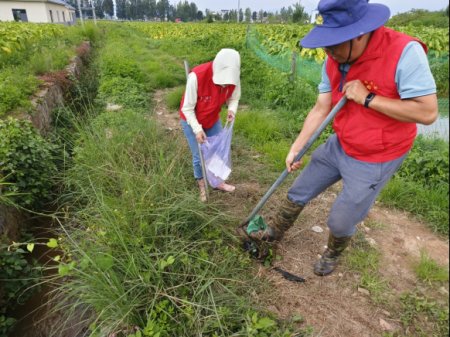 第44期 開展“高原湖泊衛士”志愿服務服務活動123